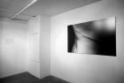 \'Forest Fears\' installation, Spitz Gallery, London, 2001